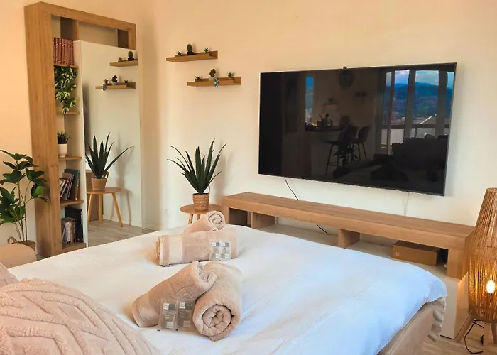 Appartement Oasis With Free Parking Lugano